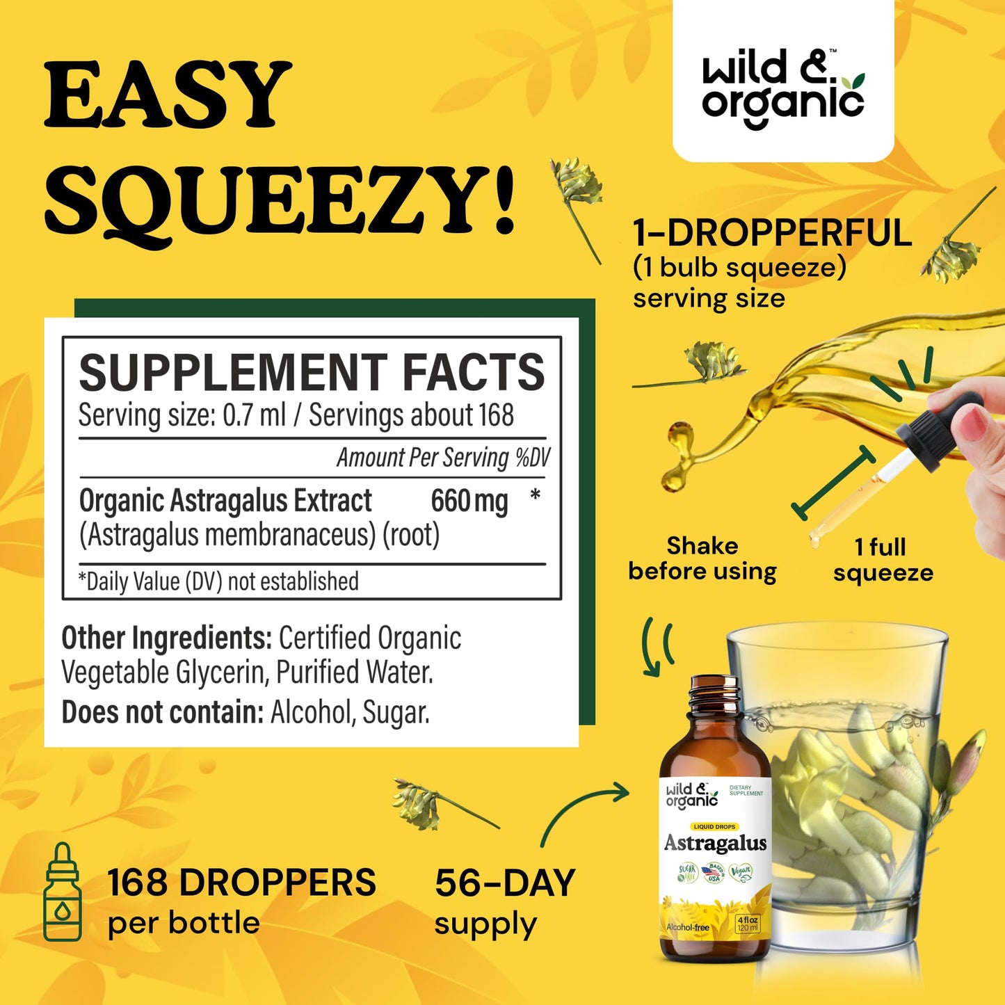 Wild & Organic Astragalus Root Extract Drops - Immune Support - Liquid Astragalus Supplement - Add to Tea & Mix with Powder - Membranaceus Herb - Vegan, Sugar & Alcohol-Free Tincture - 4 fl oz - PrimeBioHealth - canada supplements