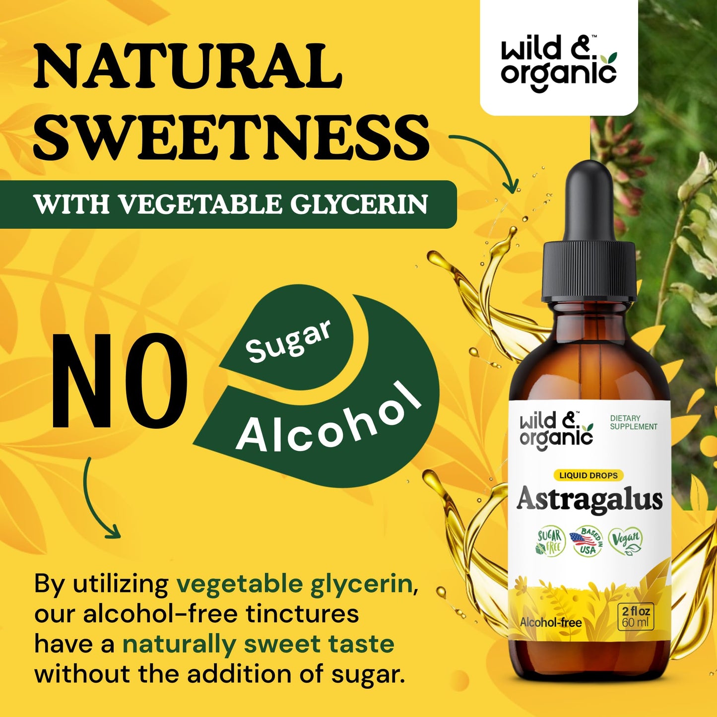 Wild & Organic Astragalus Root Extract Drops - Immune Support - Liquid Astragalus Supplement - Add to Tea & Mix with Powder - Membranaceus Herb - Vegan, Sugar & Alcohol-Free Tincture - 4 fl oz - PrimeBioHealth - canada supplements