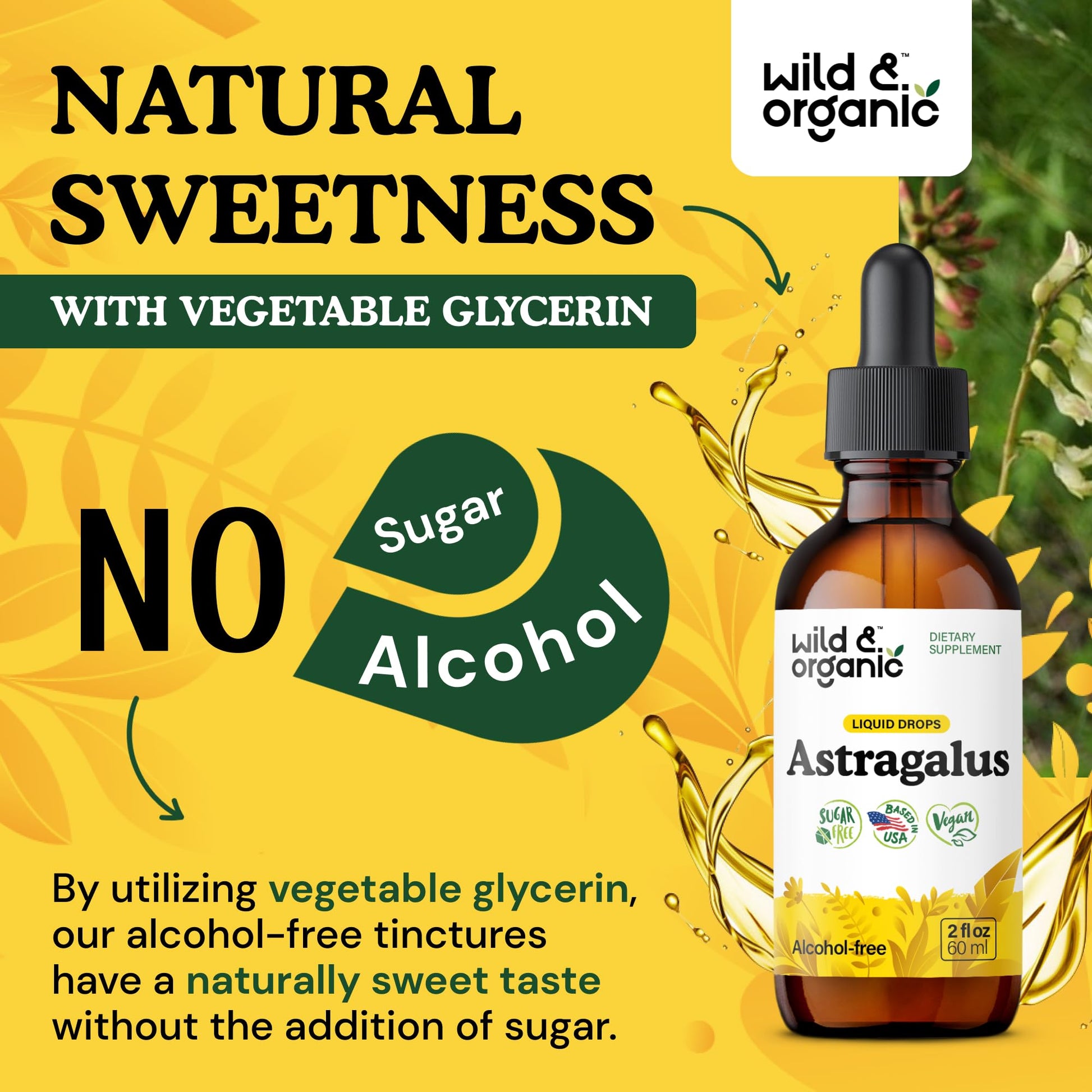 Wild & Organic Astragalus Root Extract Drops - Immune Support - Liquid Astragalus Supplement - Add to Tea & Mix with Powder - Membranaceus Herb - Vegan, Sugar & Alcohol-Free Tincture - 4 fl oz - PrimeBioHealth - canada supplements