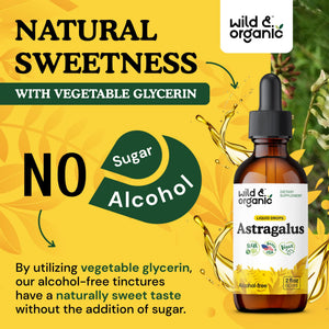Wild & Organic Astragalus Root Extract Drops - Immune Support - Liquid Astragalus Supplement - Add to Tea & Mix with Powder - Membranaceus Herb - Vegan, Sugar & Alcohol-Free Tincture - 4 fl oz - PrimeBioHealth - canada supplements