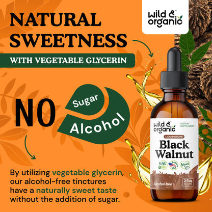 Wild & Organic Black Walnut Hull Tincture - Cleanse & Gut Support - Black Walnut Extract Supplement - Fast Absorption Liquid Drops - Add to Tea & Mix with Powder - Without Alcohol & Sugar - 4 fl oz - PrimeBioHealth - canada supplements