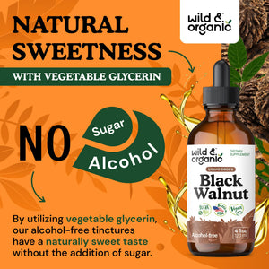 Wild & Organic Black Walnut Hull Tincture - Cleanse & Gut Support - Black Walnut Extract Supplement - Fast Absorption Liquid Drops - Add to Tea & Mix with Powder - Without Alcohol & Sugar - 4 fl oz - PrimeBioHealth - canada supplements