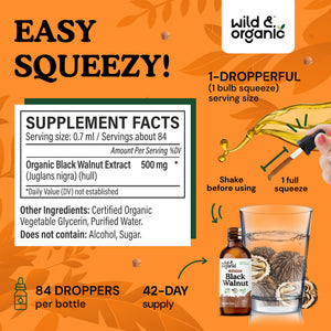 Wild & Organic Black Walnut Hull Tincture - Cleanse & Gut Support - Black Walnut Extract Supplement - Fast Absorption Liquid Drops - Add to Tea & Mix with Powder - Without Alcohol & Sugar - 4 fl oz - PrimeBioHealth - canada supplements