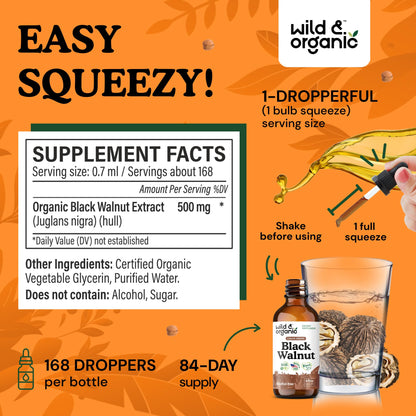 Wild & Organic Black Walnut Hull Tincture - Cleanse & Gut Support - Black Walnut Extract Supplement - Fast Absorption Liquid Drops - Add to Tea & Mix with Powder - Without Alcohol & Sugar - 4 fl oz - PrimeBioHealth - canada supplements