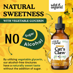 Wild & Organic Cats Claw Herb Supplement - Immune Support - Pure Cats Claw Tincture - Add to Tea Liquid Drops - Uncaria Tomentosa Bark - Vegan, Sugar & Alcohol-Free - 4 fl oz - PrimeBioHealth - canada supplements