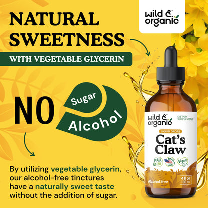 Wild & Organic Cats Claw Herb Supplement - Immune Support - Pure Cats Claw Tincture - Add to Tea Liquid Drops - Uncaria Tomentosa Bark - Vegan, Sugar & Alcohol-Free - 4 fl oz - PrimeBioHealth - canada supplements