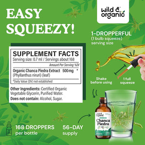 Wild & Organic Chanca Piedra Stone Breaker Drops - Kidney, Gallbladder & Urinary Support - Chanca Piedra Liquid Extract for Fast Absorption - Add to Tea Herb Tincture - Sugar & Alcohol-Free - 4 oz - PrimeBioHealth - canada supplements