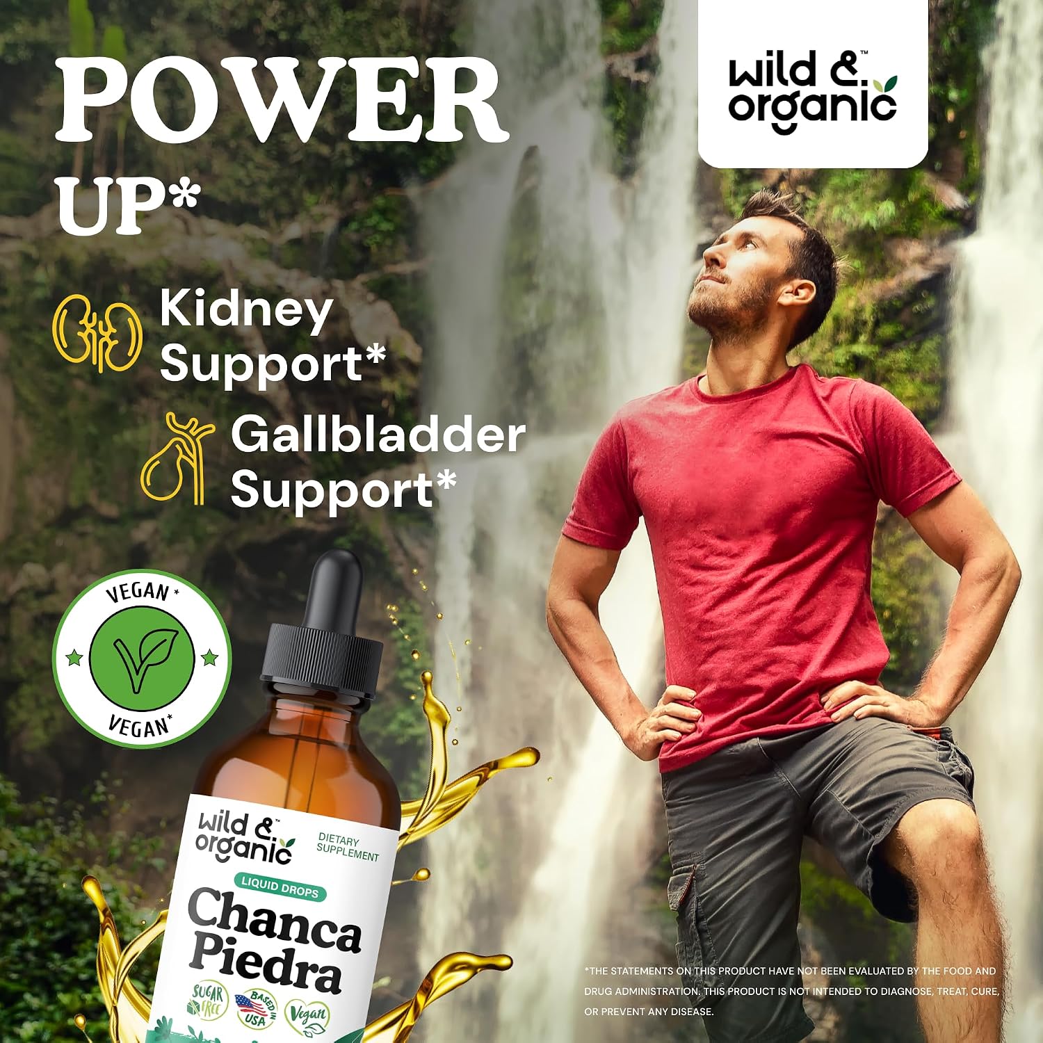 Wild & Organic Chanca Piedra Stone Breaker Drops - Kidney, Gallbladder & Urinary Support - Chanca Piedra Liquid Extract for Fast Absorption - Add to Tea Herb Tincture - Sugar & Alcohol-Free - 4 oz - PrimeBioHealth - canada supplements