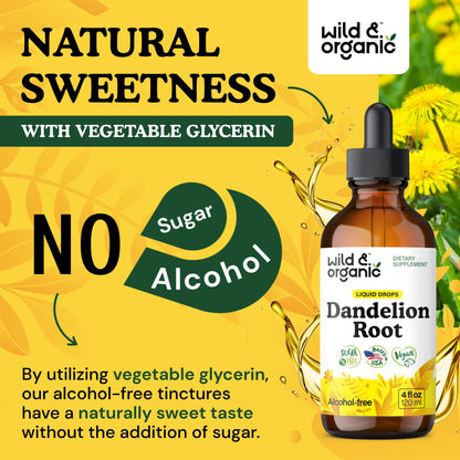 Wild & Organic Dandelion Root Extract Drops - Liver Cleanse Detox - Herbal Dandelion Tincture - Liver Support Supplement - Add to Tea - Vegan, Sugar & Alcohol-Free Liquid Drops - 4 fl oz - PrimeBioHealth - canada supplements
