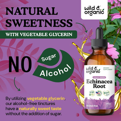 Wild & Organic Echinacea Drops - Immune & Lymphatic Drainage Drops - Liquid Echinacea Supplement - Add to Tea Tincture - Angustifolia Herb Extract - Vegan, Sugar & Alcohol-Free - 4 fl oz - PrimeBioHealth - canada supplements