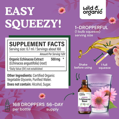 Wild & Organic Echinacea Drops - Immune & Lymphatic Drainage Drops - Liquid Echinacea Supplement - Add to Tea Tincture - Angustifolia Herb Extract - Vegan, Sugar & Alcohol-Free - 4 fl oz - PrimeBioHealth - canada supplements