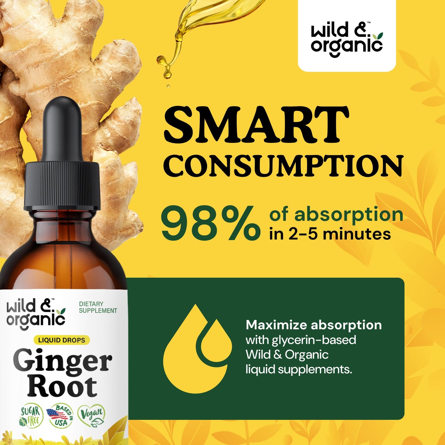 Wild & Organic Ginger Root Extract Drops - Immune & Digestive Support - Liquid Ginger Supplements - Easy to Add to Tea - Vegan, Sugar & Alcohol-Free Tincture - 4 fl oz - PrimeBioHealth - canada supplements