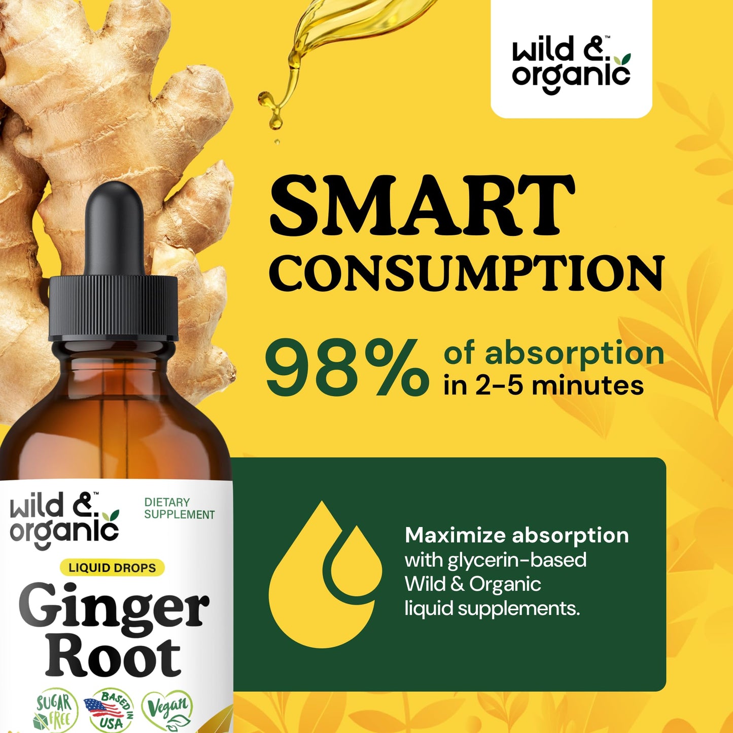 Wild & Organic Ginger Root Extract Drops - Immune & Digestive Support - Liquid Ginger Supplements - Easy to Add to Tea - Vegan, Sugar & Alcohol-Free Tincture - 4 fl oz - PrimeBioHealth - canada supplements