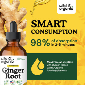 Wild & Organic Ginger Root Extract Drops - Immune & Digestive Support - Liquid Ginger Supplements - Easy to Add to Tea - Vegan, Sugar & Alcohol-Free Tincture - 4 fl oz - PrimeBioHealth - canada supplements