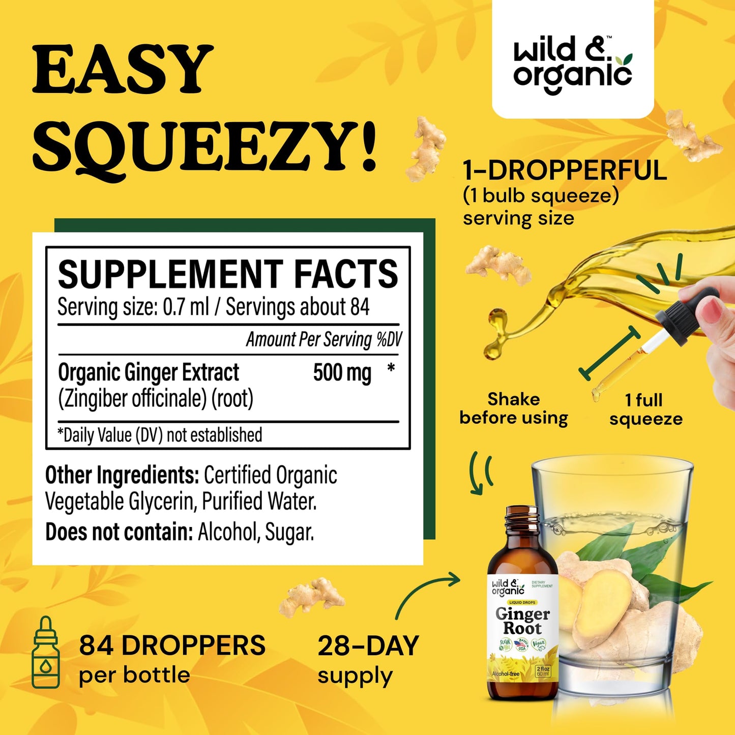 Wild & Organic Ginger Root Extract Drops - Immune & Digestive Support - Liquid Ginger Supplements - Easy to Add to Tea - Vegan, Sugar & Alcohol-Free Tincture - 4 fl oz - PrimeBioHealth - canada supplements