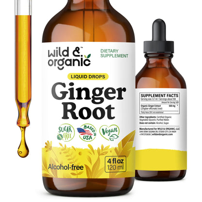 Wild & Organic Ginger Root Extract Drops - Immune & Digestive Support - Liquid Ginger Supplements - Easy to Add to Tea - Vegan, Sugar & Alcohol-Free Tincture - 4 fl oz - PrimeBioHealth - canada supplements