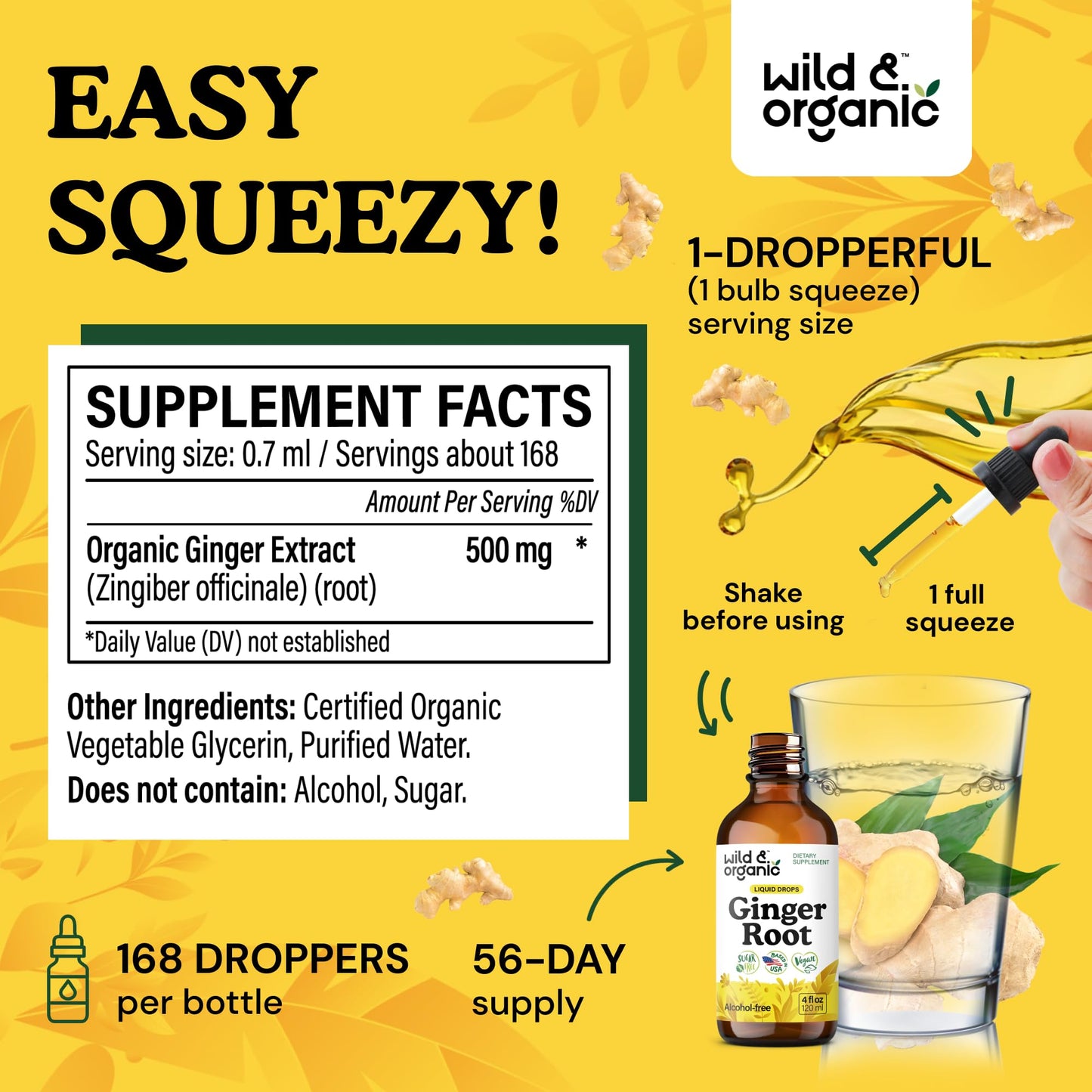 Wild & Organic Ginger Root Extract Drops - Immune & Digestive Support - Liquid Ginger Supplements - Easy to Add to Tea - Vegan, Sugar & Alcohol-Free Tincture - 4 fl oz - PrimeBioHealth - canada supplements