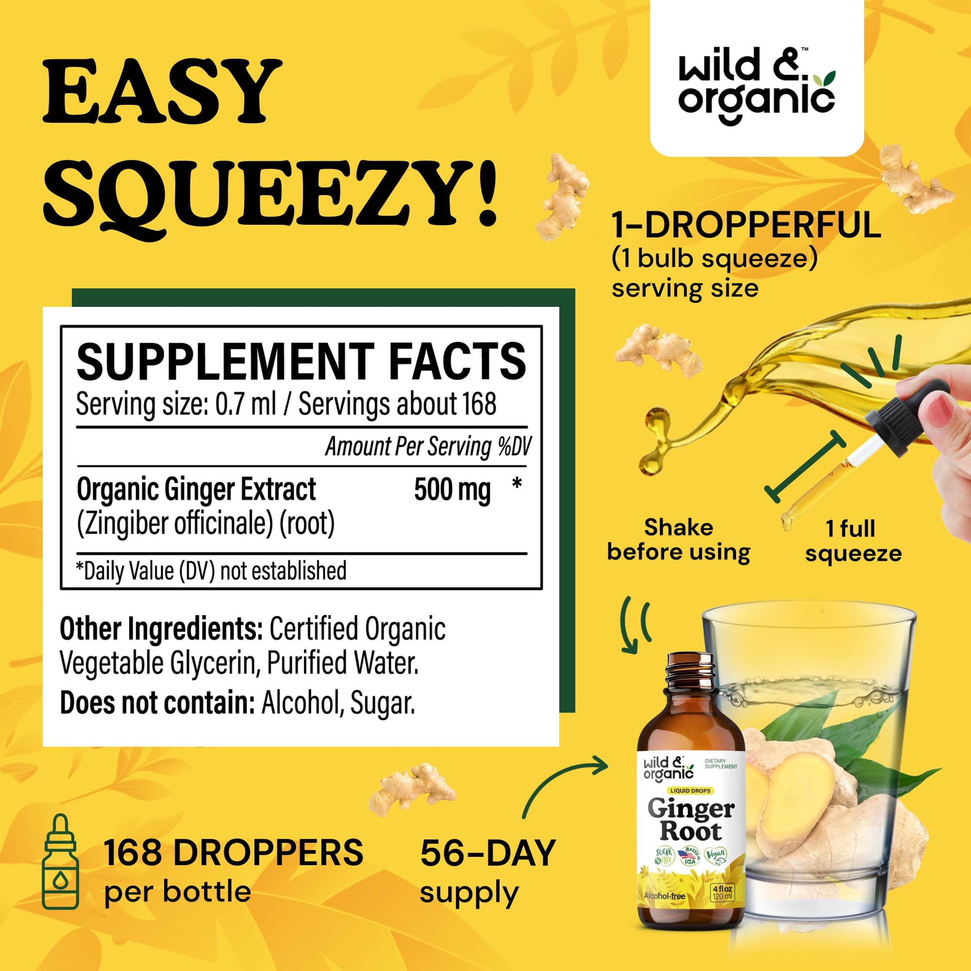 Wild & Organic Ginger Root Extract Drops - Immune & Digestive Support - Liquid Ginger Supplements - Easy to Add to Tea - Vegan, Sugar & Alcohol-Free Tincture - 4 fl oz - PrimeBioHealth - canada supplements