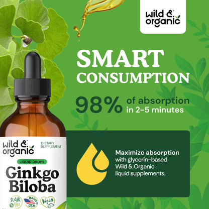 Wild & Organic Ginkgo Biloba Extract Drops - Brain & Focus Support - Liquid Ginkgo Biloba Supplements - Vegan, Sugar & Alcohol-Free Herbal Tincture - 4 fl oz - PrimeBioHealth - canada supplements