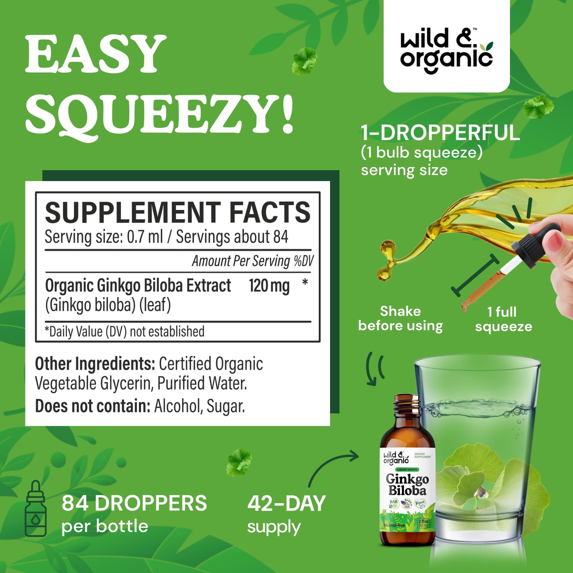 Wild & Organic Ginkgo Biloba Extract Drops - Brain & Focus Support - Liquid Ginkgo Biloba Supplements - Vegan, Sugar & Alcohol-Free Herbal Tincture - 4 fl oz - PrimeBioHealth - canada supplements