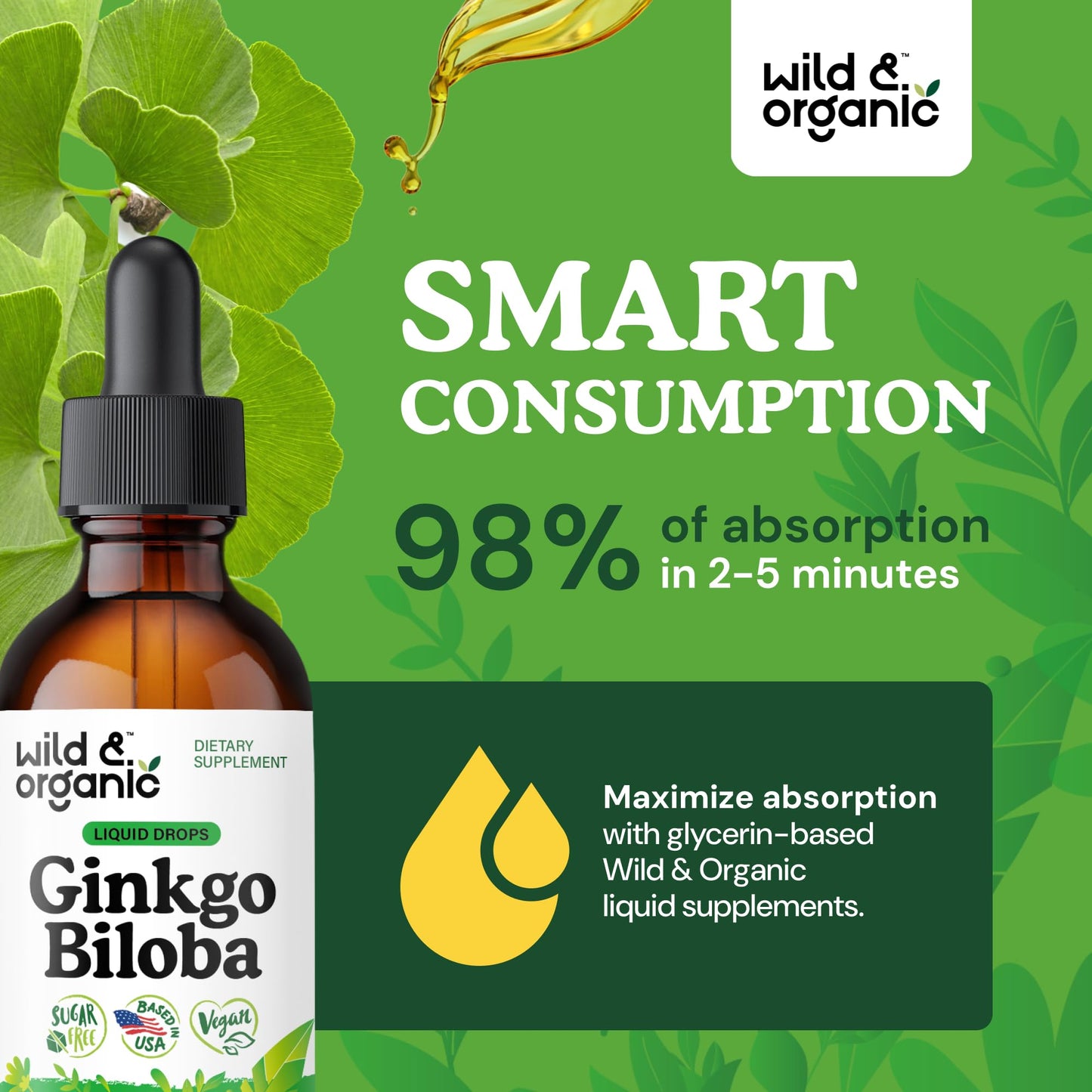 Wild & Organic Ginkgo Biloba Extract Drops - Brain & Focus Support - Liquid Ginkgo Biloba Supplements - Vegan, Sugar & Alcohol-Free Herbal Tincture - 4 fl oz - PrimeBioHealth - canada supplements