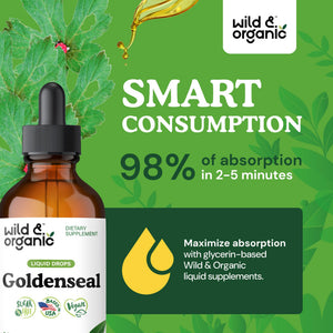 Wild & Organic Goldenseal Tincture - Lung & Digestive Support - Goldenseal Root Extract Liquid Drops - Vegan, Sugar & Alcohol-Free Herb Supplement - 4 fl oz - PrimeBioHealth - canada supplements