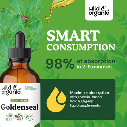 Wild & Organic Goldenseal Tincture - Lung & Digestive Support - Goldenseal Root Extract Liquid Drops - Vegan, Sugar & Alcohol-Free Herb Supplement - 4 fl oz - PrimeBioHealth - canada supplements