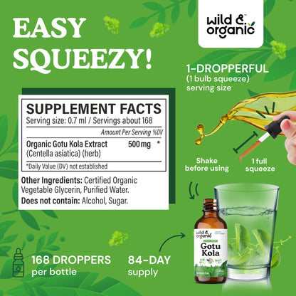 Wild & Organic Gotu Kola Extract Drops - Brain Support with Centella Asiatica Extract - Liquid Gotu Kola Supplement for Focus - Vegan, Sugar & Alcohol-Free Herb Tincture - 4 fl oz - PrimeBioHealth - canada supplements
