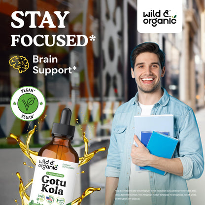 Wild & Organic Gotu Kola Extract Drops - Brain Support with Centella Asiatica Extract - Liquid Gotu Kola Supplement for Focus - Vegan, Sugar & Alcohol-Free Herb Tincture - 4 fl oz - PrimeBioHealth - canada supplements
