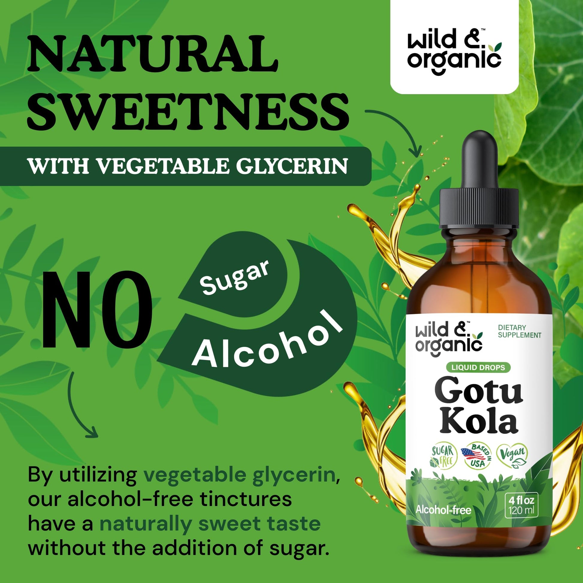 Wild & Organic Gotu Kola Extract Drops - Brain Support with Centella Asiatica Extract - Liquid Gotu Kola Supplement for Focus - Vegan, Sugar & Alcohol-Free Herb Tincture - 4 fl oz - PrimeBioHealth - canada supplements