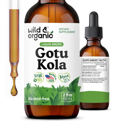 Wild & Organic Gotu Kola Extract Drops - Brain Support with Centella Asiatica Extract - Liquid Gotu Kola Supplement for Focus - Vegan, Sugar & Alcohol-Free Herb Tincture - 4 fl oz - PrimeBioHealth - canada supplements