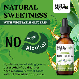 Wild & Organic Green Tea Extract Liquid Drops - Antioxidant Support - Pure Green Tea Supplement - 84-Day Supply - Vegan, Sugar & Alcohol-Free Camellia Sinensis Tincture - 4 fl oz - PrimeBioHealth - canada supplements
