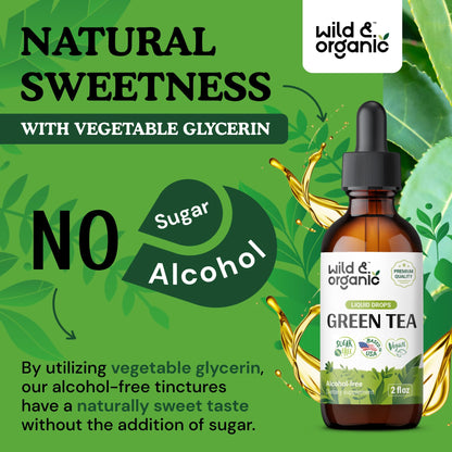 Wild & Organic Green Tea Extract Liquid Drops - Antioxidant Support - Pure Green Tea Supplement - 84-Day Supply - Vegan, Sugar & Alcohol-Free Camellia Sinensis Tincture - 4 fl oz - PrimeBioHealth - canada supplements