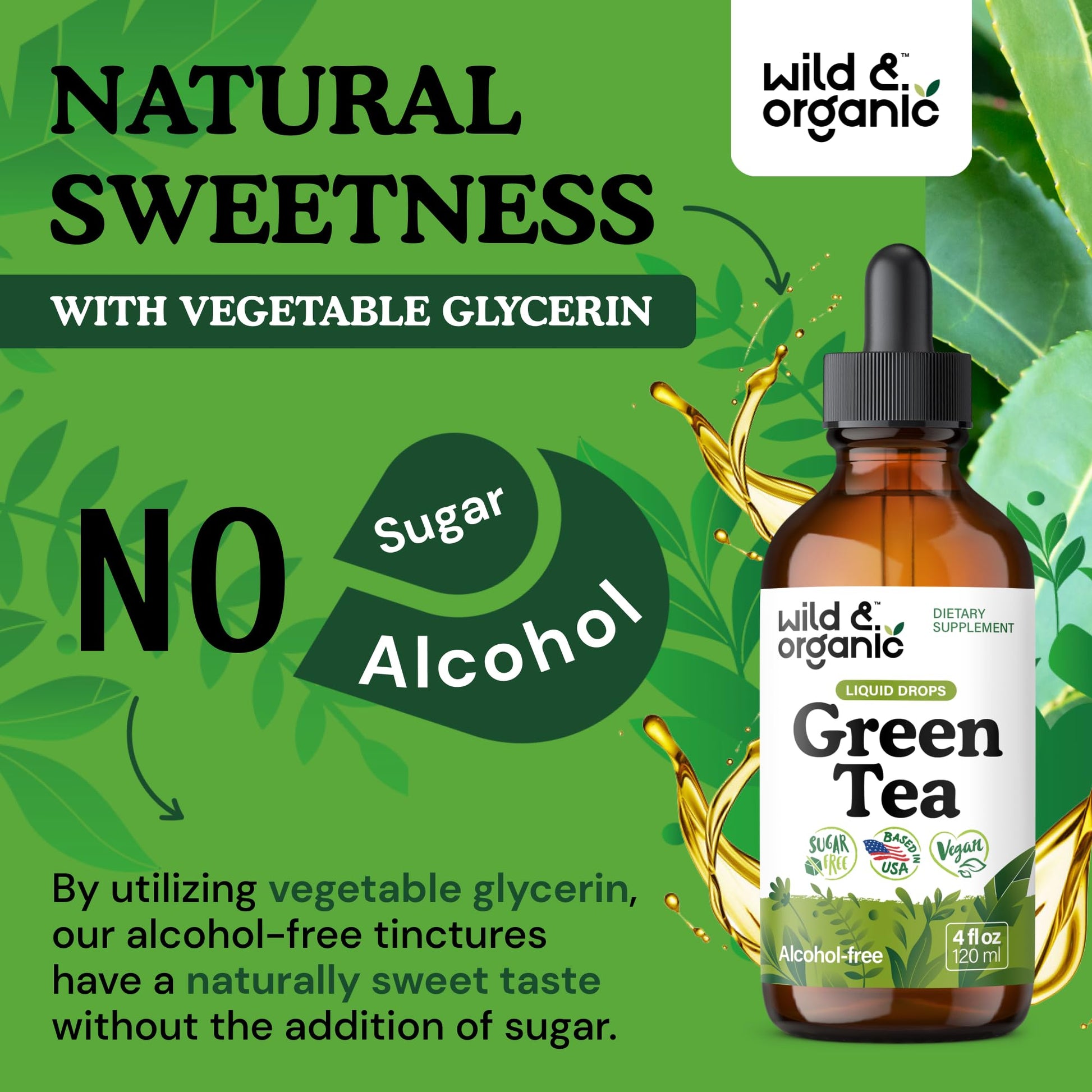 Wild & Organic Green Tea Extract Liquid Drops - Antioxidant Support - Pure Green Tea Supplement - 84-Day Supply - Vegan, Sugar & Alcohol-Free Camellia Sinensis Tincture - 4 fl oz - PrimeBioHealth - canada supplements