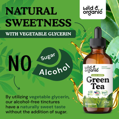 Wild & Organic Green Tea Extract Liquid Drops - Antioxidant Support - Pure Green Tea Supplement - 84-Day Supply - Vegan, Sugar & Alcohol-Free Camellia Sinensis Tincture - 4 fl oz - PrimeBioHealth - canada supplements