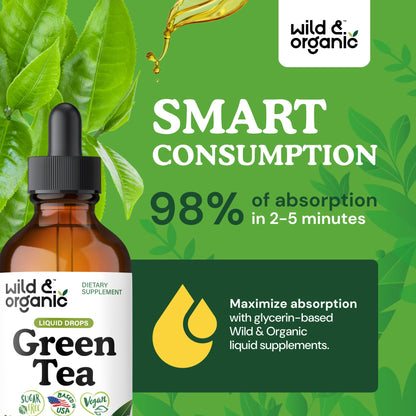 Wild & Organic Green Tea Extract Liquid Drops - Antioxidant Support - Pure Green Tea Supplement - 84-Day Supply - Vegan, Sugar & Alcohol-Free Camellia Sinensis Tincture - 4 fl oz - PrimeBioHealth - canada supplements