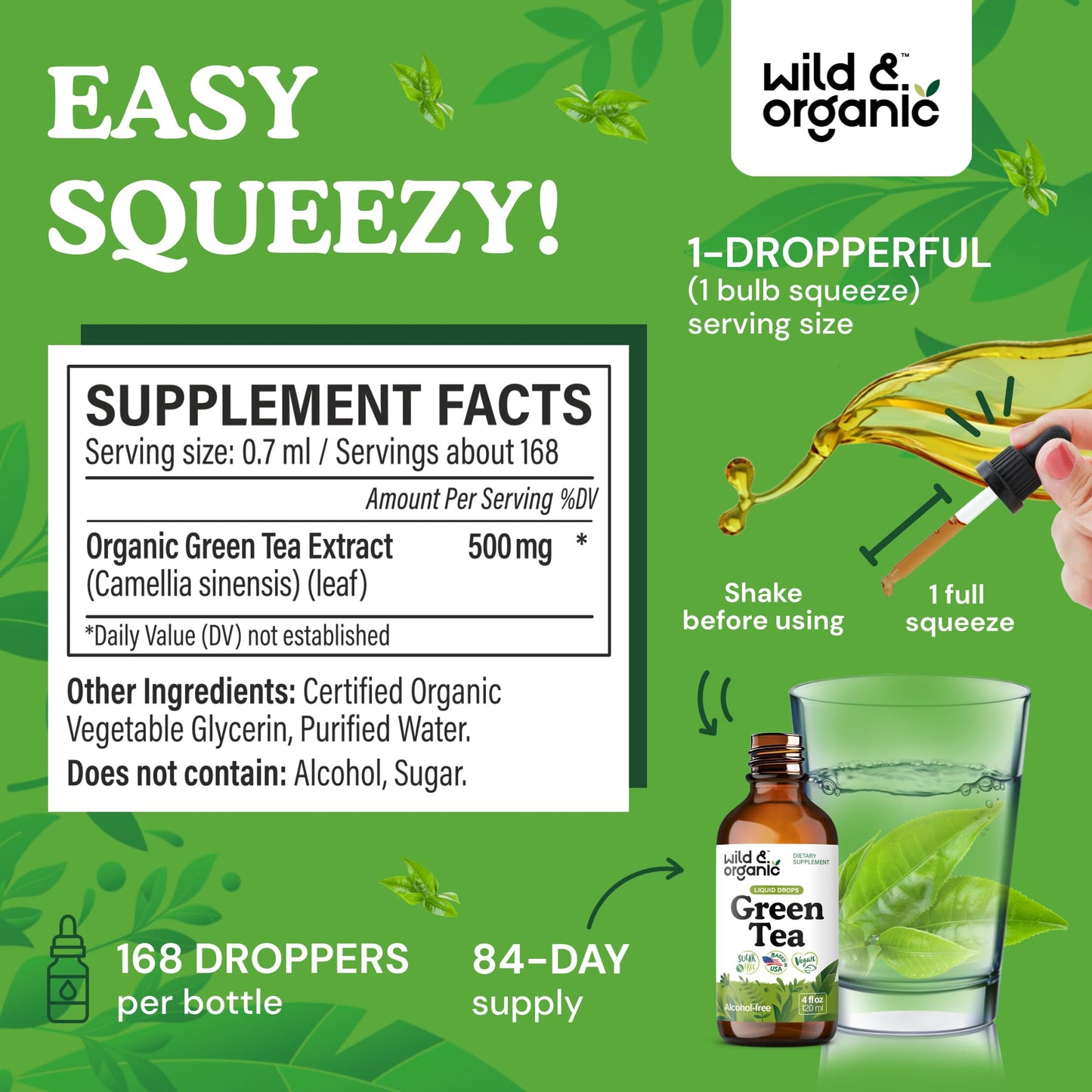 Wild & Organic Green Tea Extract Liquid Drops - Antioxidant Support - Pure Green Tea Supplement - 84-Day Supply - Vegan, Sugar & Alcohol-Free Camellia Sinensis Tincture - 4 fl oz - PrimeBioHealth - canada supplements