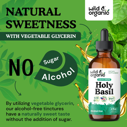 Wild & Organic Holy Basil Tincture - Relaxation & Calmness Support - Liquid Holy Basil Leaf Supplement - Tulsi Drops - Vegan, Sugar & Alcohol-Free Extract - 4 fl oz - PrimeBioHealth - canada supplements