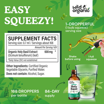Wild & Organic Holy Basil Tincture - Relaxation & Calmness Support - Liquid Holy Basil Leaf Supplement - Tulsi Drops - Vegan, Sugar & Alcohol-Free Extract - 4 fl oz - PrimeBioHealth - canada supplements
