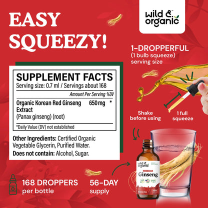 Wild & Organic Korean Panax Ginseng Extract Liquid Drops - Immune & Energy Support - Red Ginseng Root Supplement - Easy to Add to Tea - Vegan, Sugar & Alcohol-Free Tincture - 4 fl oz - PrimeBioHealth - canada supplements