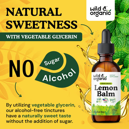 Wild & Organic Lemon Balm Tincture - Good Mood Support - Melissa Lemon Balm Extract Drops - Add to Tea for Relaxation - Vegan, Sugar & Alcohol-Free Leaf Supplement - 4 fl oz - PrimeBioHealth - canada supplements