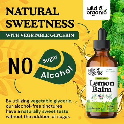 Wild & Organic Lemon Balm Tincture - Good Mood Support - Melissa Lemon Balm Extract Drops - Add to Tea for Relaxation - Vegan, Sugar & Alcohol-Free Leaf Supplement - 4 fl oz - PrimeBioHealth - canada supplements
