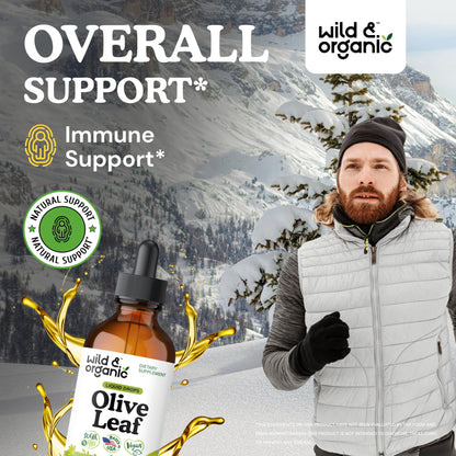 Wild & Organic Olive Leaf Extract Liquid Drops - Immune & Antioxidant Support - Oleuropein Supplement - Add to Tea Olive Leaf Tincture - Vegan, Sugar & Alcohol Free - 4 fl oz - PrimeBioHealth - canada supplements