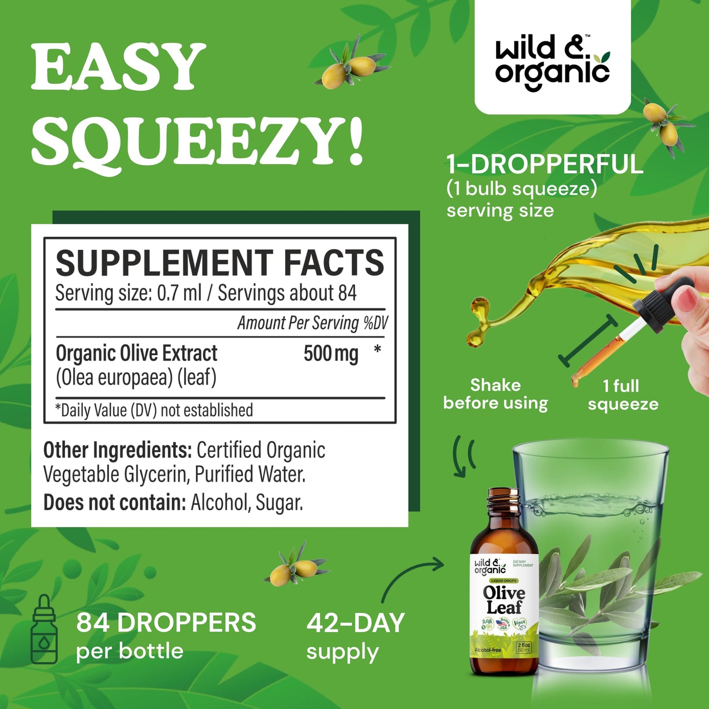 Wild & Organic Olive Leaf Extract Liquid Drops - Immune & Antioxidant Support - Oleuropein Supplement - Add to Tea Olive Leaf Tincture - Vegan, Sugar & Alcohol Free - 4 fl oz - PrimeBioHealth - canada supplements