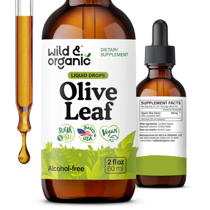 Wild & Organic Olive Leaf Extract Liquid Drops - Immune & Antioxidant Support - Oleuropein Supplement - Add to Tea Olive Leaf Tincture - Vegan, Sugar & Alcohol Free - 4 fl oz - PrimeBioHealth - canada supplements