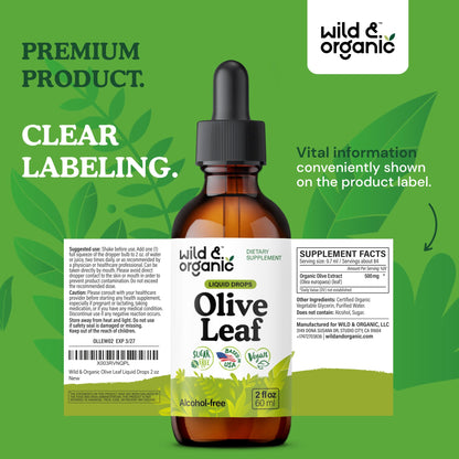 Wild & Organic Olive Leaf Extract Liquid Drops - Immune & Antioxidant Support - Oleuropein Supplement - Add to Tea Olive Leaf Tincture - Vegan, Sugar & Alcohol Free - 4 fl oz - PrimeBioHealth - canada supplements