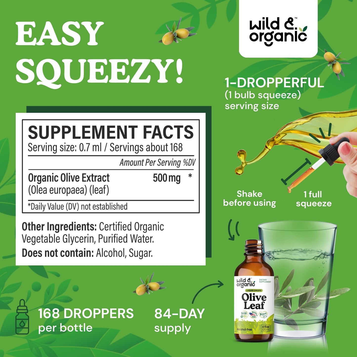 Wild & Organic Olive Leaf Extract Liquid Drops - Immune & Antioxidant Support - Oleuropein Supplement - Add to Tea Olive Leaf Tincture - Vegan, Sugar & Alcohol Free - 4 fl oz - PrimeBioHealth - canada supplements