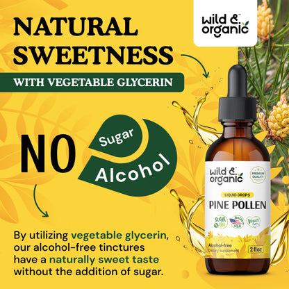 Wild & Organic Pine Pollen Tincture - Pine Pollen for Men & Women - Add to Tea & Drink - Pure Pinus Massoniana Extract Drops - Vegan, Sugar & Alcohol-Free Liquid Supplement - 4 fl oz - PrimeBioHealth - canada supplements