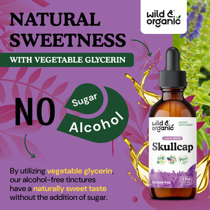 Wild & Organic Skullcap Herb Tincture - Skullcap Supplement for Mood Support - Relaxing Liquid Extract Drops - Vegan, Sugar & Alcohol-Free - 4 fl oz - PrimeBioHealth - canada supplements