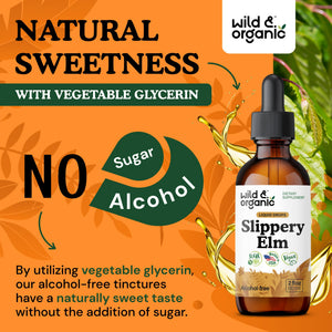Wild & Organic Slippery Elm Liquid Drops - Lung, Digestive & Women's Support - Slippery Elm Bark Supplement - Add to Tea Tincture - Ulmus Rubra Herb - Vegan, Sugar & Alcohol-Free - 4 fl oz - PrimeBioHealth - canada supplements